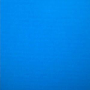 Meet your Posher, Genevieve